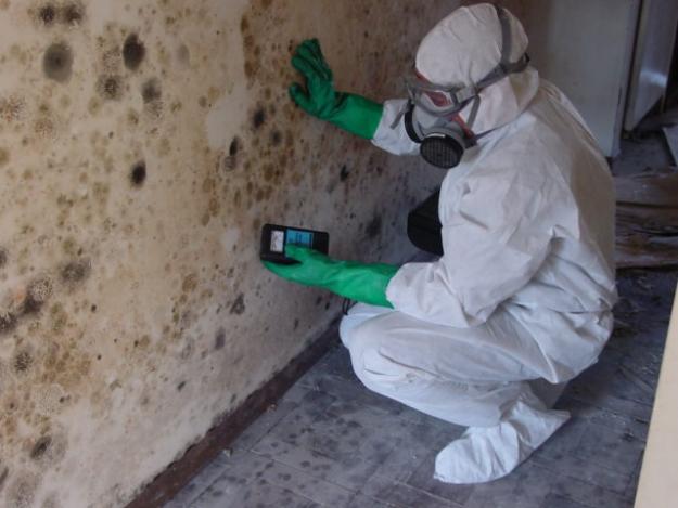 Mold Leads