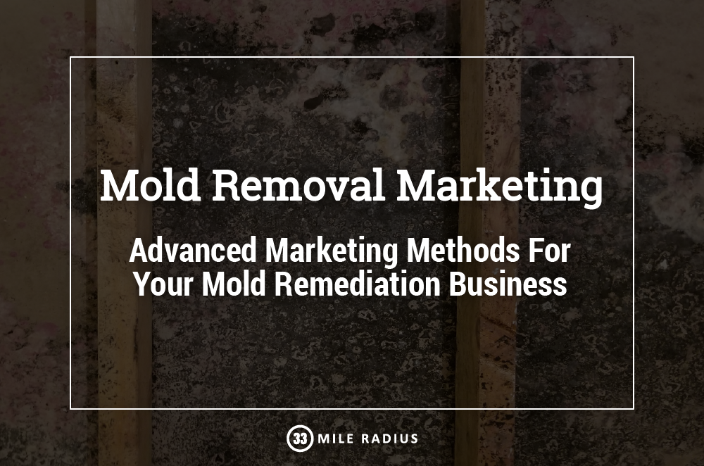 Diversify Your Mold Removal Marketing Strategy
