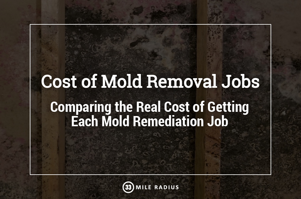 The Cost of Mold Removal Leads: Understanding the real cost of getting more mold remediation jobs